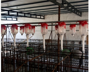 海南养猪自动化料线